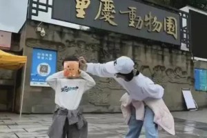 赵丽颖家庭生活曝光：事业与家庭的完美平衡
