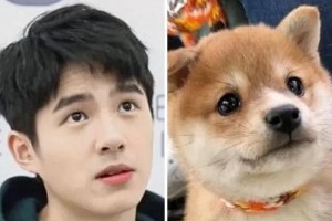 蛇系长相解析：刘浩存、傅菁等明星的魅惑特征